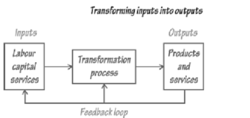 inputs productivity outputs into measures transforming management operation diagram